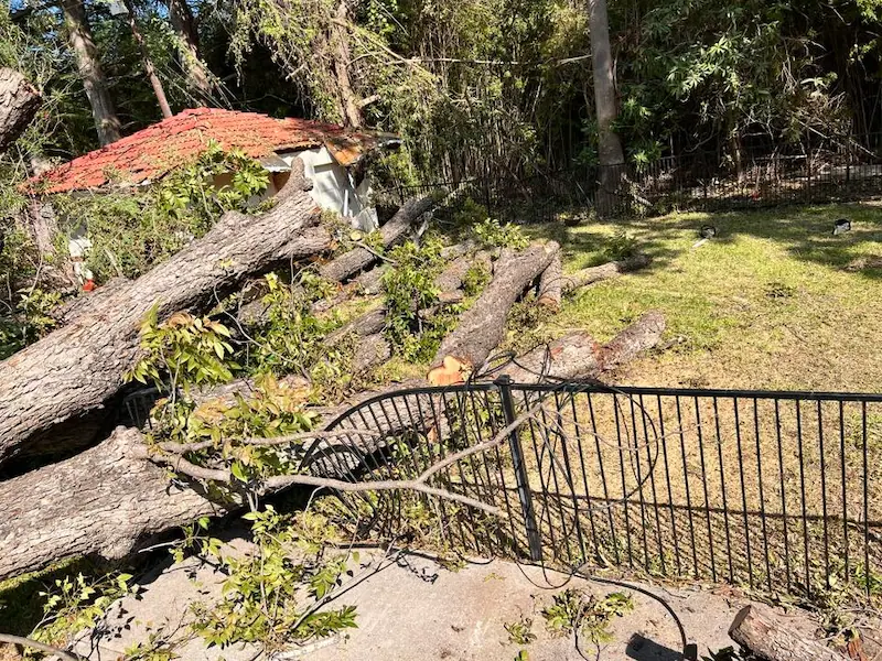 Emergency Tree Service